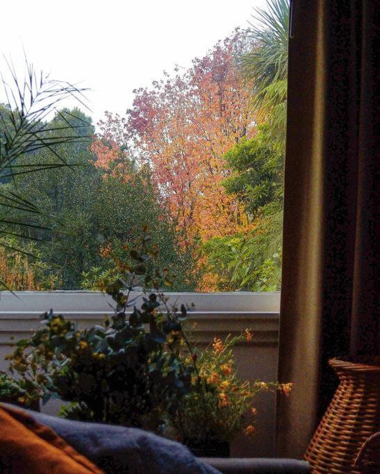 Harrys House Warburton - Peaceful Riverside Cottage In The Perfect Location Exterior photo
